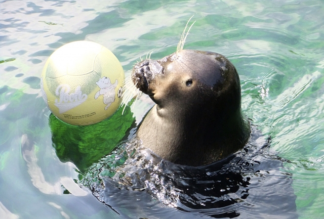 箱根園水族館