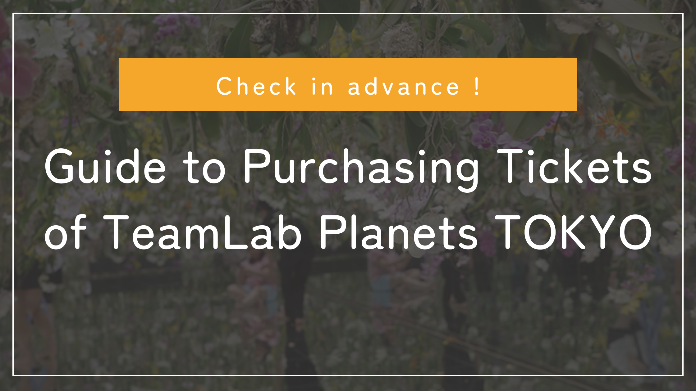 Guide to Purchasing Tickets of TeamLab Planets TOKYO